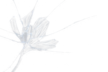 Broken glass on transparent background with lots of glass splinters and cracks
