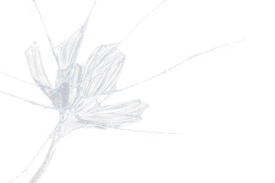 Broken glass on transparent background with lots of glass splinters and cracks
