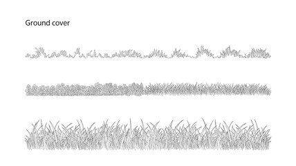 Ground Cover Plants and Grass Line Art