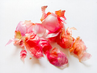 Peeled red onion skin isolated on white background.