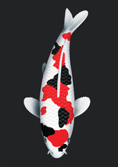 black and white koi fish