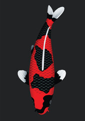 black and white koi fish