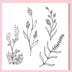 Minimalist black line art of various botanical herbs and wildflowers. Elegant floral sprigs and leaves on white background with soft pink frame. Ideal for botanical prints, stickers, logos, packaging,