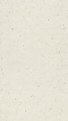 Obraz premium Light Recycled Paper Texture with Natural Fiber Specks for Eco Design