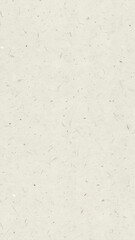 Obraz premium Light Recycled Paper Texture with Natural Fiber Specks for Eco Design
