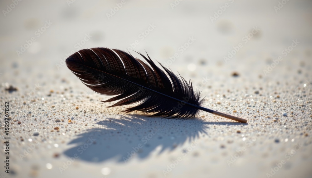 Poster a single feather casting a long shadow on a textured surface. the feather's dark color contrasts bea