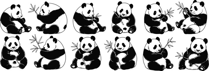 Cute panda illustration set, cartoon pandas eating bamboo, adorable animal vector collection, sitting bear designs, black and white wildlife drawings

 flat vector illustration