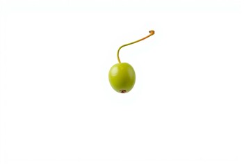 Single caper berry with stem against white background