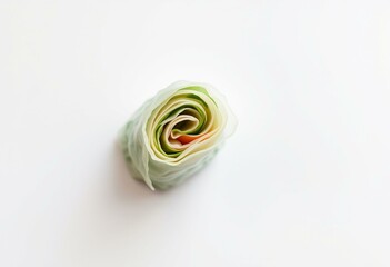 Soft, natural lighting illuminates a delicate rice paper spring roll