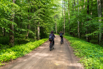 Path in Bialowieza Forest in Poland, Green Velo