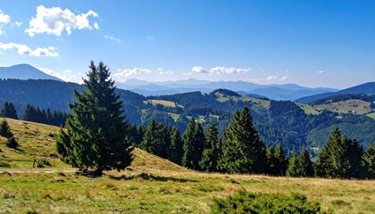 Fototapeta premium Panoramic Mountain Vistas with Verdant Forest Canopy on a Sunny Day Horizon