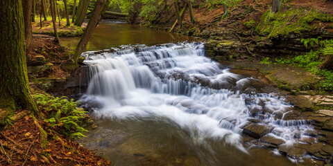 waterfall in autumn forest