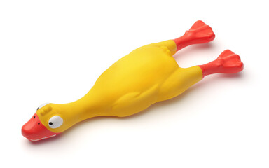 Funny yellow rubber duck