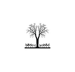 Obraz premium A tree split in two with new saplings growing at its base silhouette on white background