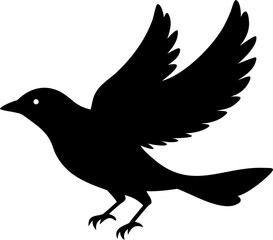 Obraz premium Silhouette of a american robin silhouette of a bird with wings spread on a Transparent Background