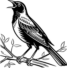 Obraz premium Silhouette of a american robin illustration of a bird singing on a branch against a Transparent background