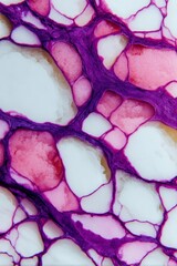 Close-up of Calacatta Viola marble with rich magenta and purple veining