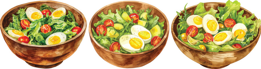 Salad Bowls Vector Illustration with Eggs and Tomatoes.