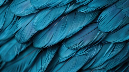 Fototapeta premium A close-up of beautiful turquoise feathers showcasing the intricate details and textures, embodying the elegance of nature's art in a unique fashion.