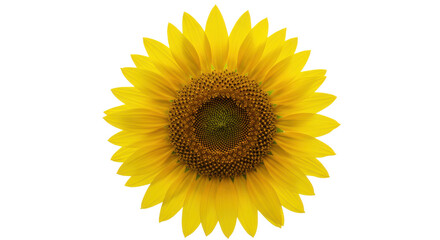 Fototapeta premium Vibrant sunflower in full bloom against a clear blue sky, symbolizing summer joy
