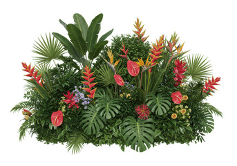 Vibrant tropical plant arrangement showcasing diverse foliage and colorful flowers