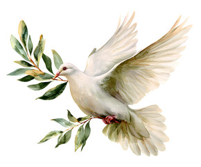 Watercolor Dove with Olive Branch - Symbol of Peace and Hope (Isolated on White)
