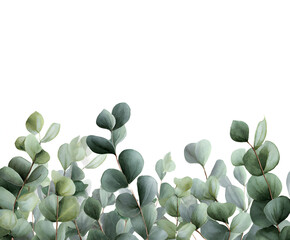 Watercolor Eucalyptus Border - Green Leaves, Botanical Illustration, Isolated on White, Floral Design Element