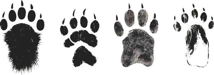 Set of four bear paw prints in different styles vector illustration isolated on white background for wildlife animal track footprint predator hunting zoology and wilderness concepts