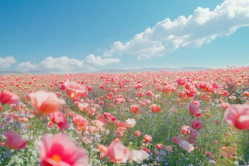 Fototapeten Many flowers in the field sky landscape outdoors. © Rawpixel.com