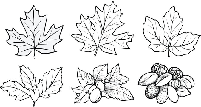 doodles  4-5-2025 (0457)