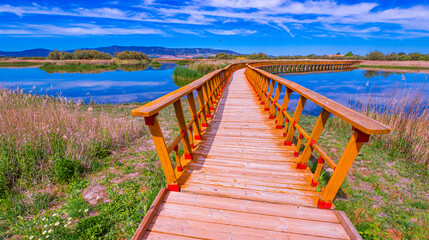 Tablas de Daimiel National Park, Daimiel, Ciudad Real, Castilla La Mancha, Spain, Europe