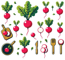 Vector set of fresh radish vegetables