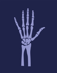 Okay gesture shown by hand skeleton of human, on dart background, isolated