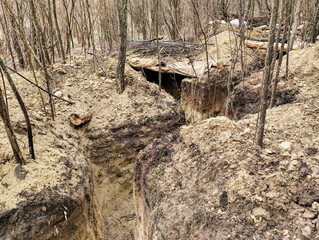 Trench system hidden in a forest clearing, showcasing earthworks and camouflage structure