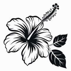 A detailed black hibiscus flower blooms beside two shaded leaves, all monochrome