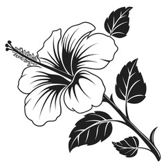 Black and white hibiscus flower stands out beautifully with leaves and a detailed stem