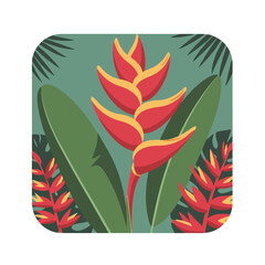 Red and yellow heliconia flower with green background