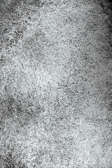 Close-up macro of black mold spores on white fungal mycelium. Organic structure, natural contamination texture, ideal for backgrounds, science, microbiology, or abstract design themes.