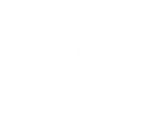 Sparkling White Dust Trail Glitter Effect.