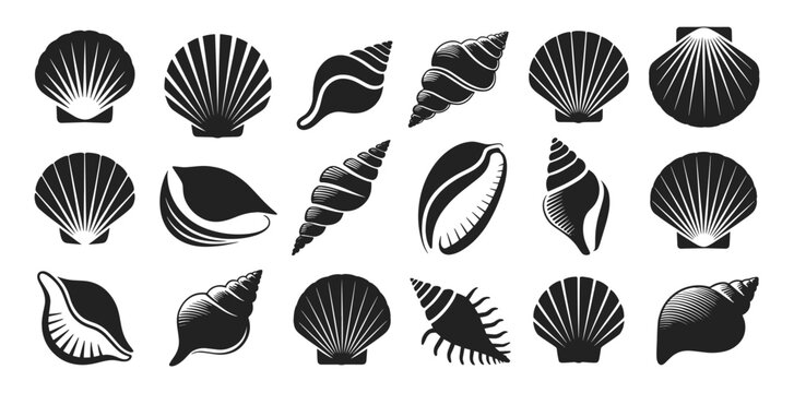 Collection of seashell silhouettes featuring conch, scallop and spiral forms, vector illustration set. Black marine shell icons with decorative linework and varied shapes.