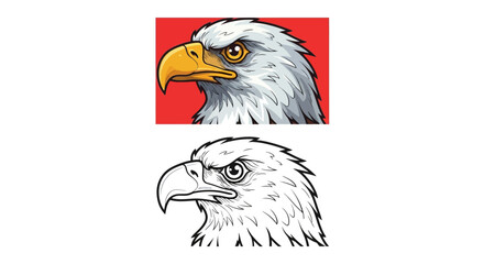 Majestic Bald Eagle Head, Color and Line Art Versions