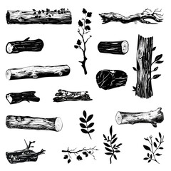 Hand Drawn Tree Logs And Branches With Leaves Illustration Set
