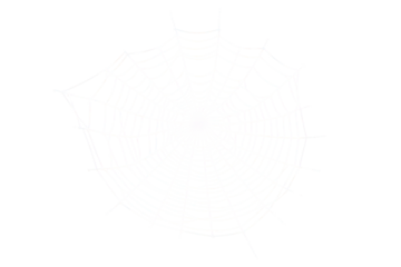 Intricate white spider web on black background