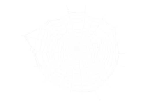 Intricate white spider web on black background