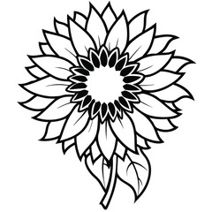 Outlined sunflower blossom displays layered petals and folliage in a striking monotone artistic vector