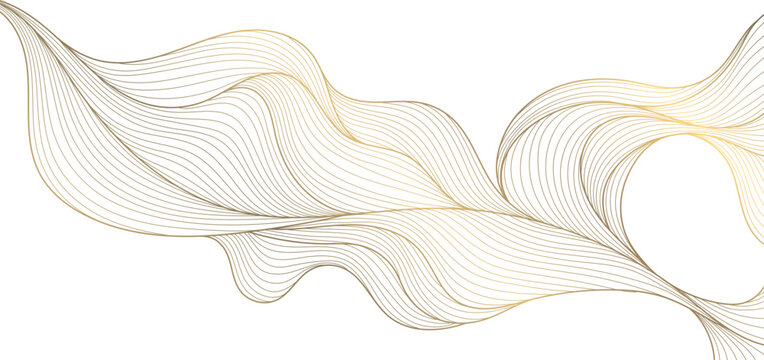 Vector line golden wave on white background, abstract flow shape, water elegant illustration. Premium art graphic, river, ocean smooth element.