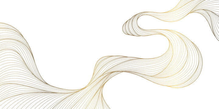 Vector line golden wave on white background, abstract flow shape, water elegant illustration. Premium art graphic, river, ocean smooth element.