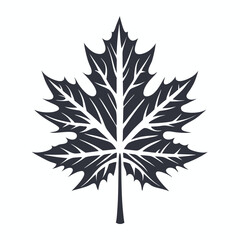 Simple, solid charcoal maple leaf stands starkly against a plain white backdrop now