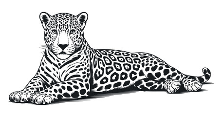 Detailed Black and White Vector Illustration of a Lying Jaguar Isolated on a White Background Perfect for Graphic Design Projects