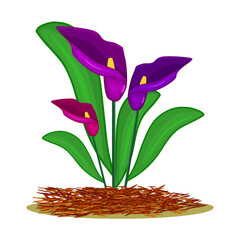 Mulch gardening concept with flower and red mulch on white background. Mulching of plants, soil protection. Landscape design mulch. Agriculture countryside outdoor seasonal work. Vector illustration